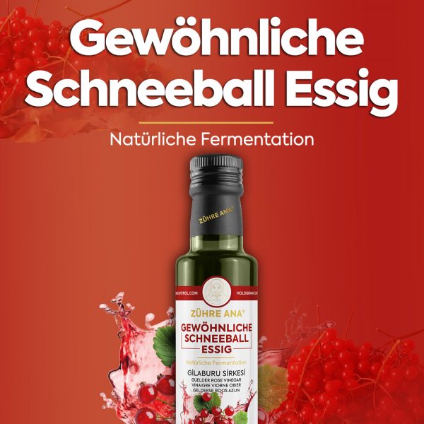 Zühre Ana Gilaburu-Essig Natürliche Gärung – Bild 3